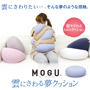 AB-314 MOGU　雲にさわる夢クッション（スカイブルー）