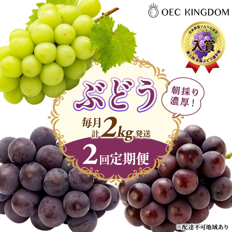 【ふるさと納税】ぶどう 2026年 先行予約 2回 定期便 (毎月計2kg発送) ピオーネ オーロラブラック シャインマスカット ブドウ 葡萄 岡山県産 国産 フルーツ 果物 ギフト OEC KINGDOM ぶどう家 果物類　お届け：2026年8月上旬～2026年9月下旬