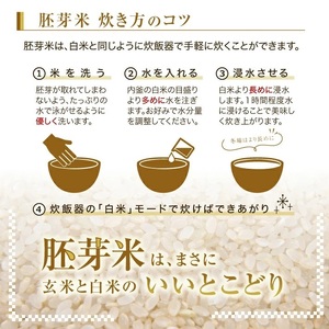 SA2835　令和7年産【胚芽米】はえぬき　5kg×1袋　 YA