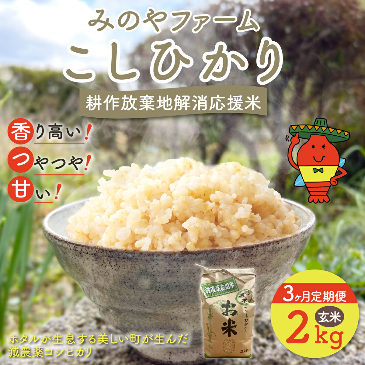 【ふるさと納税】【3ヶ月定期便】令和8年産 こしひかり 選べる2kg 3kg 5kg（玄米） みのやファーム 耕作放棄地解消応援米 【 コシヒカリ こしひかり おいしい お米 米 こめ 自然栽培 贈り物 ギフト 千葉県 御宿町 人気 おすすめ ランキング 】 ONJF010
