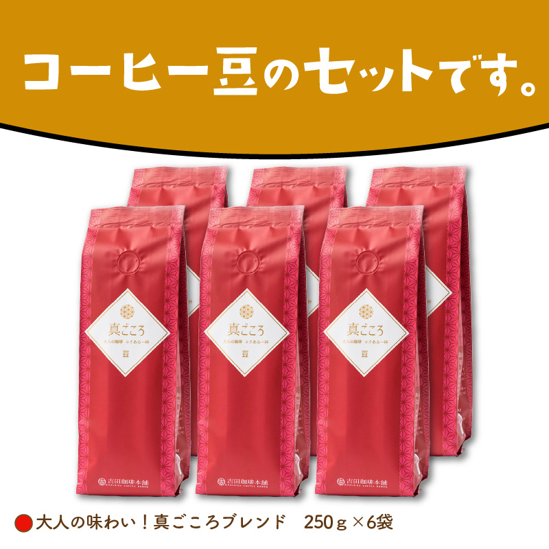 【吉田珈琲本舗】真ごころブレンド 250g×6袋／豆 ※お届け不可地域あり【010D-080】