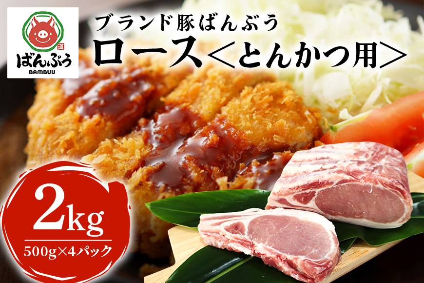 ブランド豚「ばんぶぅ」小分け ロース とんかつ用 2kg（500g×4パック） 冷凍便 2キロ たっぷり 豚肉 豚ロース トンカツ ロースかつ ロースカツ 豚カツ ロースカツ丼 ロースかつ丼 ロースカツカレー カツ煮 かつ煮 ポークソテー ぶた肉 ブタ肉 国産 茨城県産 ギフト プレゼント お祝い ご褒美 ゲン担ぎ 験担ぎ 必勝祈願 合格祈願 42-AO