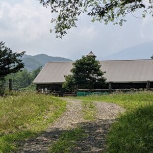 香林農園ナチュラルチーズ　ブラウンスイス牛チーズセット　北海道　日高山脈の小さなチーズ農家【配送不可地域：離島】【1610192】