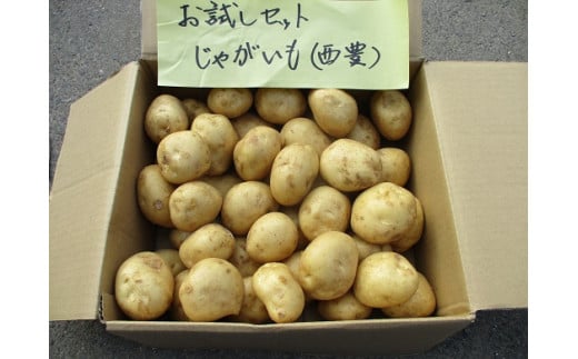 有機JASじゃがいも（5kg/訳あり/S~Lサイズ）先行予約