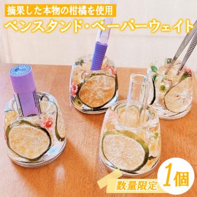 ふるさと納税 いちき串木野市 【数量限定】摘果柑橘を有効活用したペンスタンド・ペーパーウェイト(1個) ルシエルフュゼ