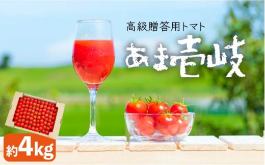 【先行予約】トマト ミディトマト  約4kg 高級贈答用「あま壱岐」【2025年12月以降順次発送】 [JAE005] 野菜 ギフト プレゼント 贈り物 28000 28000円