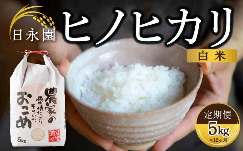 【定期便】日永園 ヒノヒカリ 白米5kg×12ヶ月 【2025年11月下旬より発送予定】 米 お米 ご飯  うきは市
