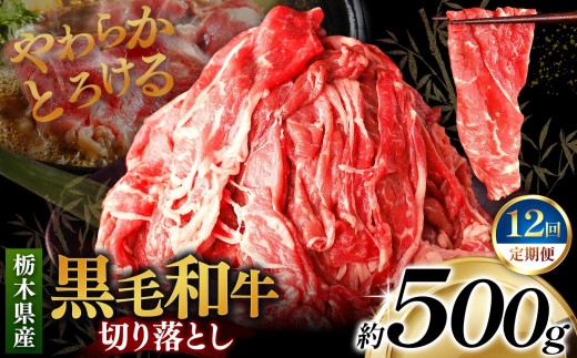 [定期便12回]栃木県産黒毛和牛切り落とし 500g｜数量限定 黒毛 和牛 牛肉 国産牛 国産 ブランド牛 お肉 切り落とし サシ 霜降り 甘い ステーキ すき焼き しゃぶしゃぶ 焼肉 切落し 上品 アレンジ 美味しい 料理 主婦 とちぎ  栃木県 矢板市