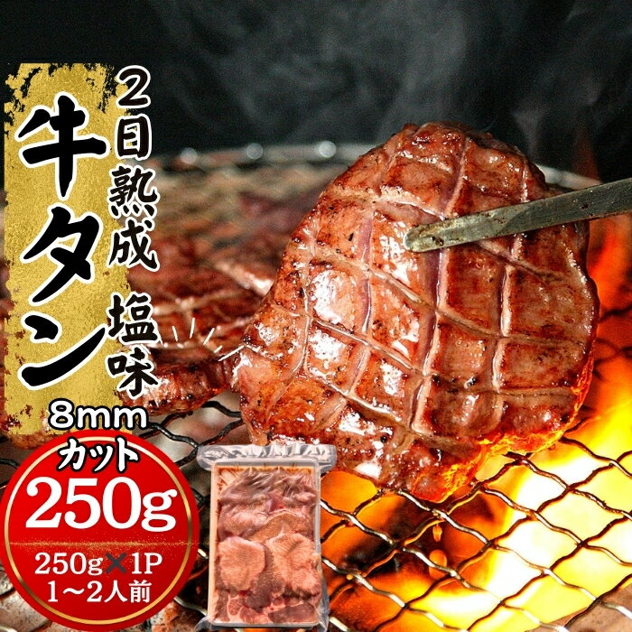 【ふるさと納税】牛タン 2日熟成牛タン 8mmカット 熟成 厚切 牛タン 塩味 250g 冷凍 焼肉 バーベキュー 牛たん 熟成牛たん 宮城県 東松島市 佐利 オンラインワンストップ 対応 自治体マイページ W