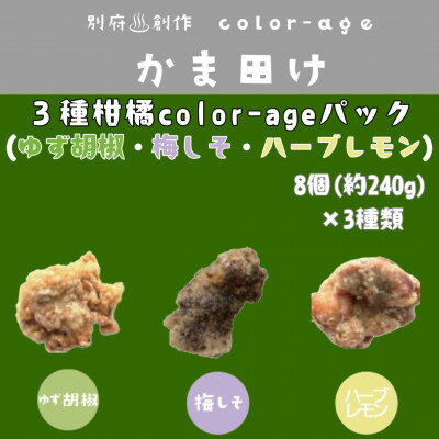 【ふるさと納税】彩りからあげ　3種柑橘color-ageパック(ゆず胡椒・梅しそ・ハーブレモン)【配送不可地域：離島】【1649521】