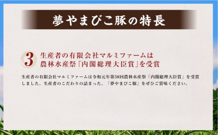 「夢やまびこ豚」詰め合わせセット 1.7kg | 豚肉 肉 詰め合わせ セット トンカツ 小分け 真空パック 冷蔵 送料無料