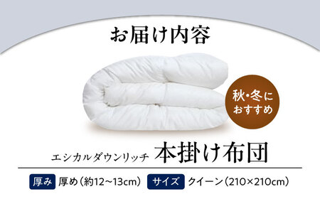 洗える 人工羽毛布団 本掛け布団 クイーン エシカルダウンリッチ 広島県福山市/イシケン株式会社 羽毛 布団 ふとん 本掛け 掛け布団 掛布団 軽い 日本製 秋 冬 寝具 アレルギー対策 サステナブル