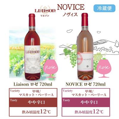 ふるさと納税 笛吹市 ロゼワイン 2種 セット 720ml 各1本 計2本 日川中央葡萄酒 山梨県笛吹市 |  | 03
