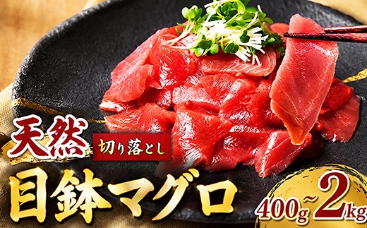 
                  【容量選べる】 天然 メバチマグロ  切り落とし 400g ～ 2kg |100g 小分け 4～20パック めばちまぐろ めばち まぐろ 目鉢 目鉢まぐろ 目鉢鮪 マグロ 鮪 中トロ 天然 天然まぐろ 天然マグロ 切落し きりおとし 訳あり わけあり 家庭用 刺身 お刺身 食べ比べ 漬け丼 漬丼 海鮮丼 丼 魚 さかな 新鮮 冷凍 海鮮 大小混合 規格外 高知県 室戸市
                