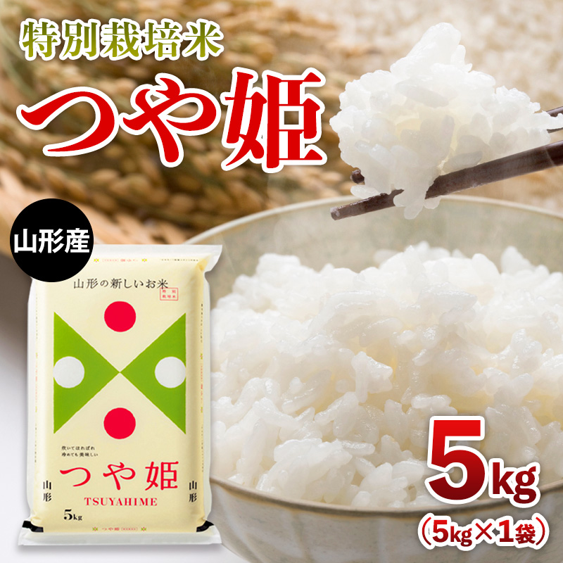 【限定数】令和6年産 山形産 特別栽培米 つや姫 5kg FY25-304
