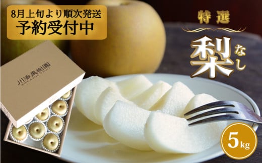 【予約受付中・8月上旬頃より順次発送】川添果樹園の特選梨 約 5kg ナシ 果物 フルーツ 和梨 幸水 豊水 南水 秋月 あきづき 新高 国産