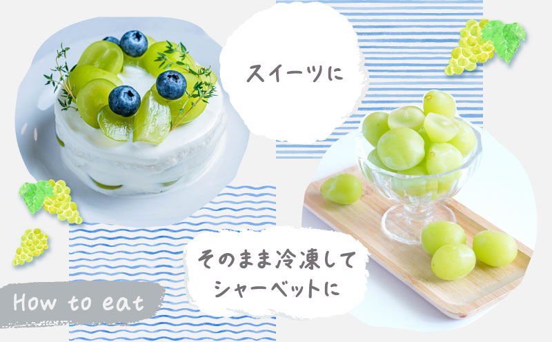 シャインマスカット1.3kg　（粒）　マスカット　ブドウ　ぶどう　葡萄　シャインマスカット　甘い　フルーツ　スイーツ　粒　山梨　山梨県 1.3kg