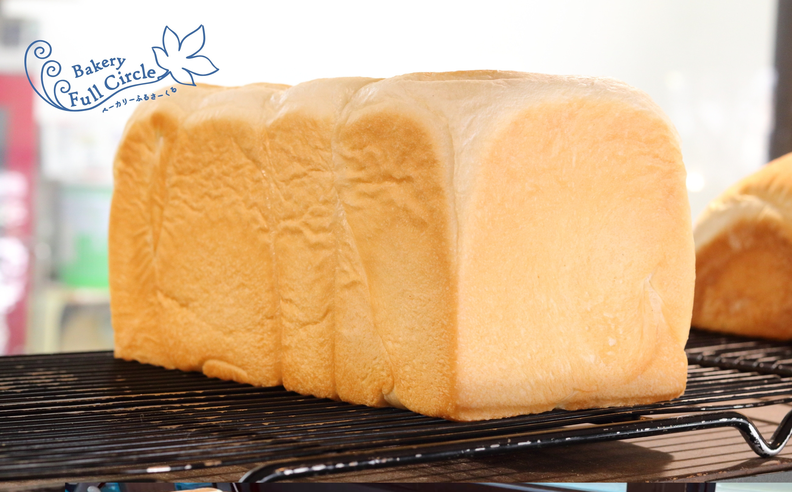 Circle食パン