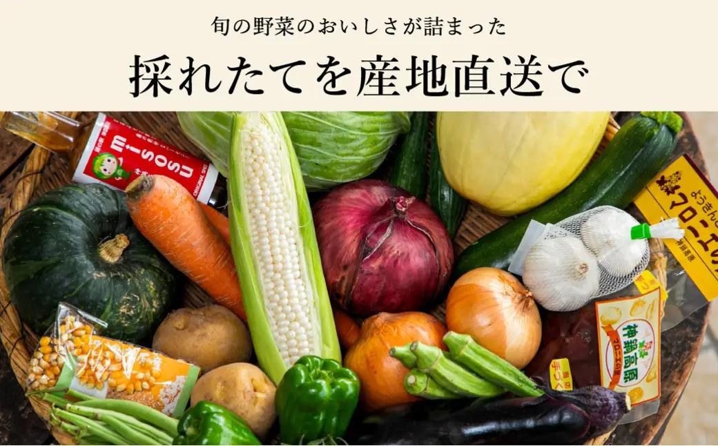 神鍋高原 季節の新鮮野菜 詰め合わせ 5～10品