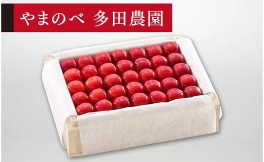 《2026年先行予約》【特選佐藤錦】桐箱詰 約500g【やまのべ多田耕太郎のさくらんぼ 多田農園】期間限定 数量限定 F4A-0023