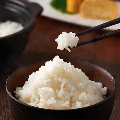 ふるさと納税 養父市 令和6年産養父市の希少米　蛇紋岩米　10kg　　　　　五穀米(蛇紋岩米使用)セット |  | 02