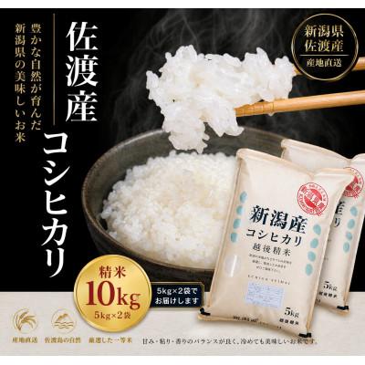 ふるさと納税 佐渡市 佐渡産コシヒカリ 5kg×2袋セット