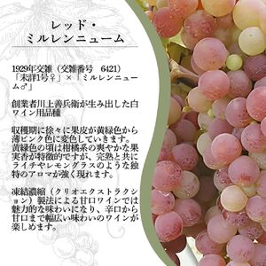 希少ぶどう品種　岩の原ワイン　レッド・ミルレンニューム辛口