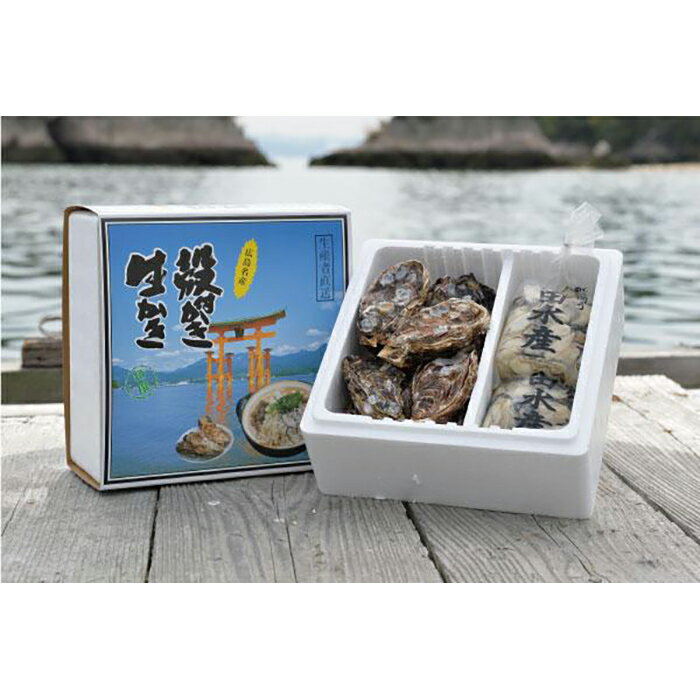 【ふるさと納税】島田水産　Shimada　Oyster　生かき1kg（500g×2）+殻付き10個（加熱用） | 広島かき 広島牡蠣 牡蠣 新鮮 旬 おすすめ 人気 広島県 宮島 廿日市市