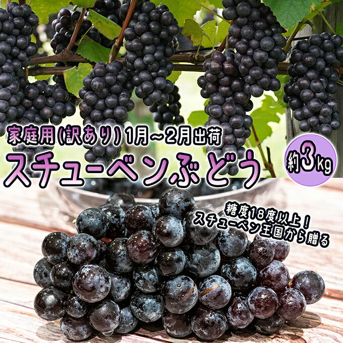 【ふるさと納税】【ファンからのリクエストにより掲載再開】1～2月 津軽ぶどう村 秀品 スチューベン ぶどう 約 3kg 訳あり 家庭用 【 青森ぶどう 青森県鶴田町産 11月 12月 果物 フルーツ ポリフェノール 甘い 高糖度 美味しい 　お届け：2027年1月12日～2027年2月28日