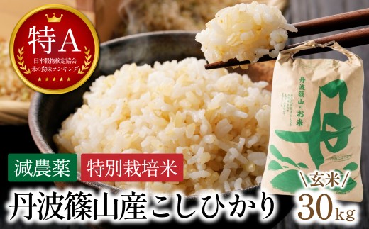 寄付額改定〈スピード出荷〉【特A 減農薬】 玄米 特別栽培米こしひかり 30kg  お米 コシヒカリ 丹波篠山産 コメ こめ お米 こしひかり げんまい ゲンマイ