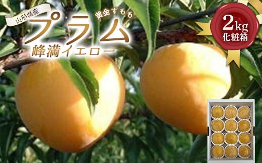 
            山形県産 プラム (峰満イエロー) 2kg 化粧箱 秀品 (8～15玉入り) 【先行受付2026年9月発送】 FSY-2596
          
