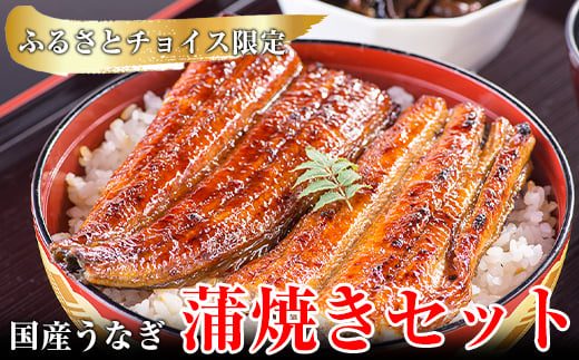 
            国産うなぎ蒲焼長焼き１本＆カット２枚（230g〜249g）(A986-1)
          