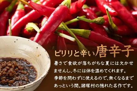 和風調味料 唐辛子もろみ 130g×3本 常温｜唐辛子 トウガラシ 麦麹 麹 醤油 調味料 瓶 瓶詰め こしょう ご飯のお供 冷奴 そうめん ディップ アレンジ もろっこはうす 宮崎県 諸塚村 MO-