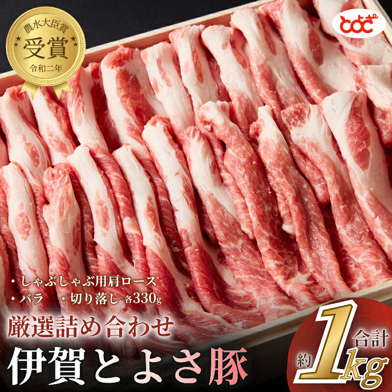 【ふるさと納税】 農水大臣賞受賞 伊賀とよさ豚 厳選詰め合せ1Kg