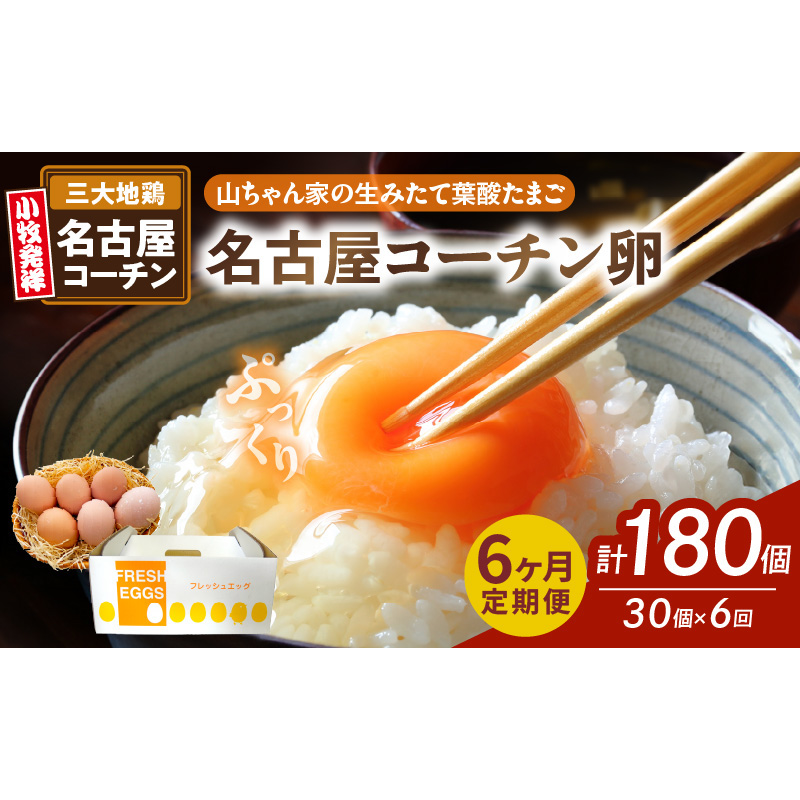 【6ヶ月定期便】【山ちゃん家の生みたて葉酸たまご】名古屋コーチン卵（30個入り）［132Y02-T］