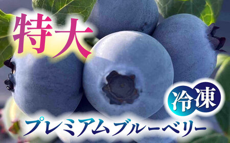 あいさい彩ベリー（ブルーベリー冷凍果実）250g×2パック プレミアムブルーベリー 産地直送ブルーベリー 愛知県産ブルーベリー 愛西産ブルーベリー 国産ブルーベリー 果物 フルーツ 冷凍ブルーベリー 