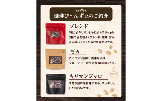 自家焙煎 珈琲豆 コーヒー こだわりセット 計3袋 《30日以内に出荷予定(土日祝除く)》珈琲び〜んず 送料無料 焙煎 ブレンド豆 モカ キリマンジャロ コーヒー豆 徳島県 美馬市