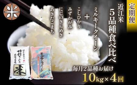 令和6年産 新米 定期便 10kg 全4回 ミルキークイーン  + 4品種 食べ比べ ( こしひかり みずかがみ にじのきらめき あきたこまち ) 全5品種 白米 各 5kg × 2袋 3ヶ月 近江米  国産 お米 米 おこめ ごはん ご飯 白飯 しろめし こめ ゴハン 御飯 滋賀県産 竜王 ふるさと ランキング 人気 おすすめ