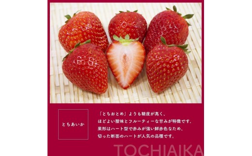 [期間限定] 鮮度抜群とちあいか 290g×8P 先行予約【栃木県共通返礼品】｜栃木県産 矢板市産 フルーツ スイーツ デザート 果物 果実 産地直送 栃木県 矢板市 約290g×8P | 17,00