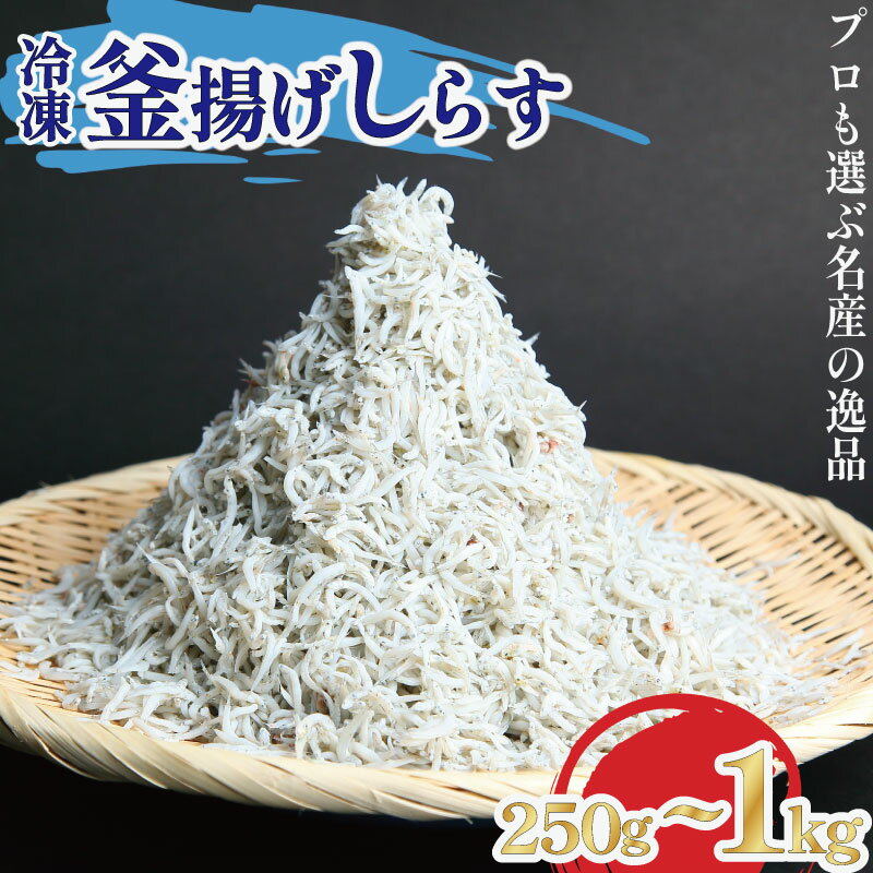 【ふるさと納税】 釜揚げ しらす 250g~1kg 冷凍 鮮度 産地直送 しらす丼 海鮮 海鮮丼 魚介 魚 オススメ 小分け 人気 定番 ご飯