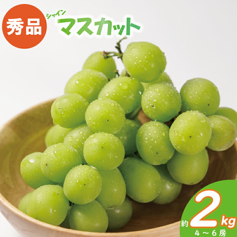【ふるさと納税】 【先行予約】 【2025年8月下旬以降発送予定】 秀品 シャインマスカット 約2kg ( 4 ~ 6房 ) ぶどう 葡萄 ブドウ マスカット フルーツ 果物 冷蔵 数量限定 おすすめ 愛媛県産 松山市 高級 おすすめ 旬