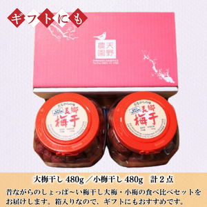 梅干セット 大梅 小梅 箱入り 各480g 《 2025年10月中旬 ～ 順次出荷 》 梅干し 梅干し 梅干し