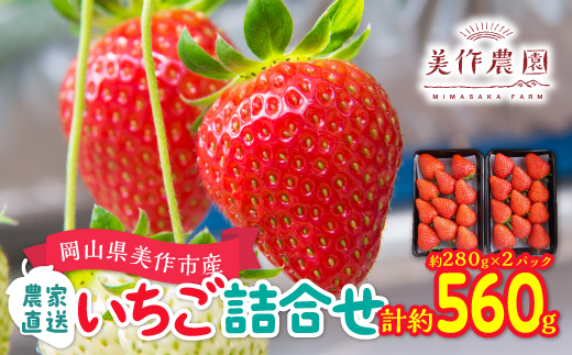 
            ＜2025年4月発送開始＞岡山県美作市産　いちご詰合せ(約280g×2パック)【1130056】
          