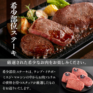 YF08 【共通返礼品】やまぐち和牛燦（きらめき）豪華満喫セット（1.7kg）