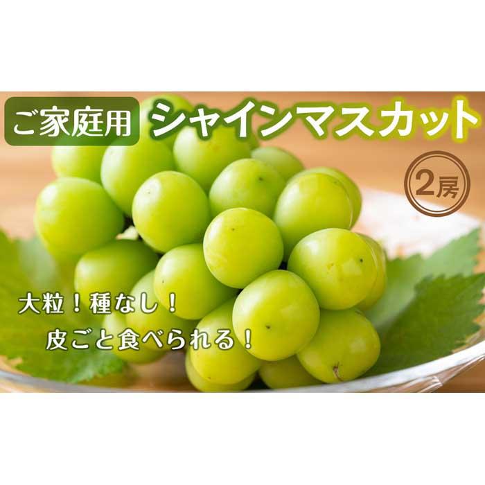 【ふるさと納税】ご家庭用シャインマスカット2房入り（1.1kg以上） | 香川県 坂出市 香川 楽天ふるさと 納税 返礼品 お取り寄せグルメ 取り寄せ グルメ 食品 フルーツ 果物 くだもの シャインマスカット ぶどう ブドウ 葡萄 自宅用 家庭用 お取り寄せ 特産品 ご当地 おいしい