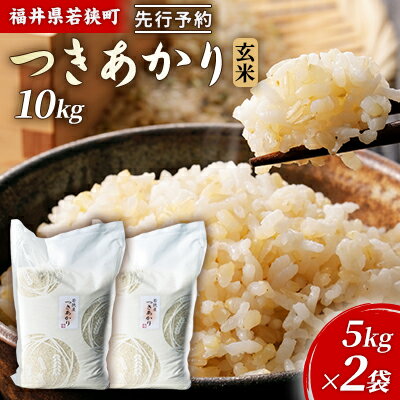 【ふるさと納税】令和6年産福井県若狭町つきあかり（一等米）玄米　10kg（神谷農園） 5kg×2袋 お米 ブランド米 銘柄米 ご飯 おにぎり お弁当 産地直送 和食 主食 　お届け：2026年10月以降発送