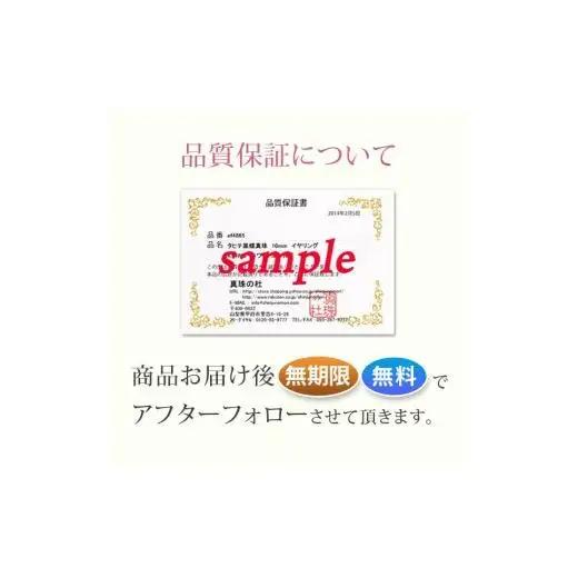 シルバー　キュービック　ペンダントネックレス　57?11274　【111-005】