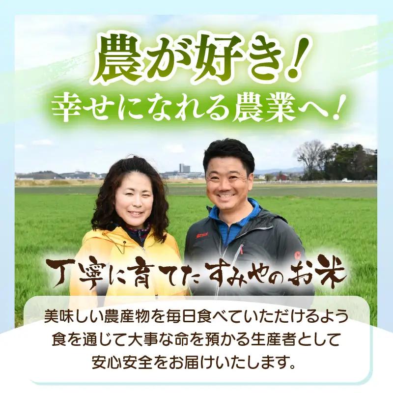 【先行予約】【令和8年産】【10月上旬以降発送】 華越前 無洗米 5kg / 米 5キロ ハナエチゼン はなえちぜん 北陸 福井県産 あわら市 ブランド米 白米 お米 コメ こめ kome ※2026