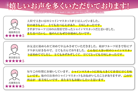 旬の採れたてシャインマスカット1.2kg以上（2房～3房）（HO）B12-150 【山梨県 シャインマスカット フルーツ シャインマスカット 定期便 大粒 シャインマスカット 旬 フルーツ シャインマ