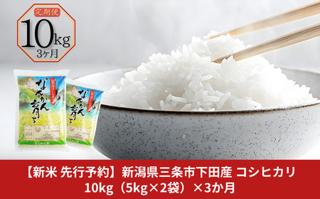[定期便10kg (5kg×2袋) ×3ヶ月] コシヒカリ 新潟県三条市下田産 こしひかり 計30kg 令和7年産米 [JAえちご中越]【046S007】
